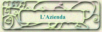 L'Azienda